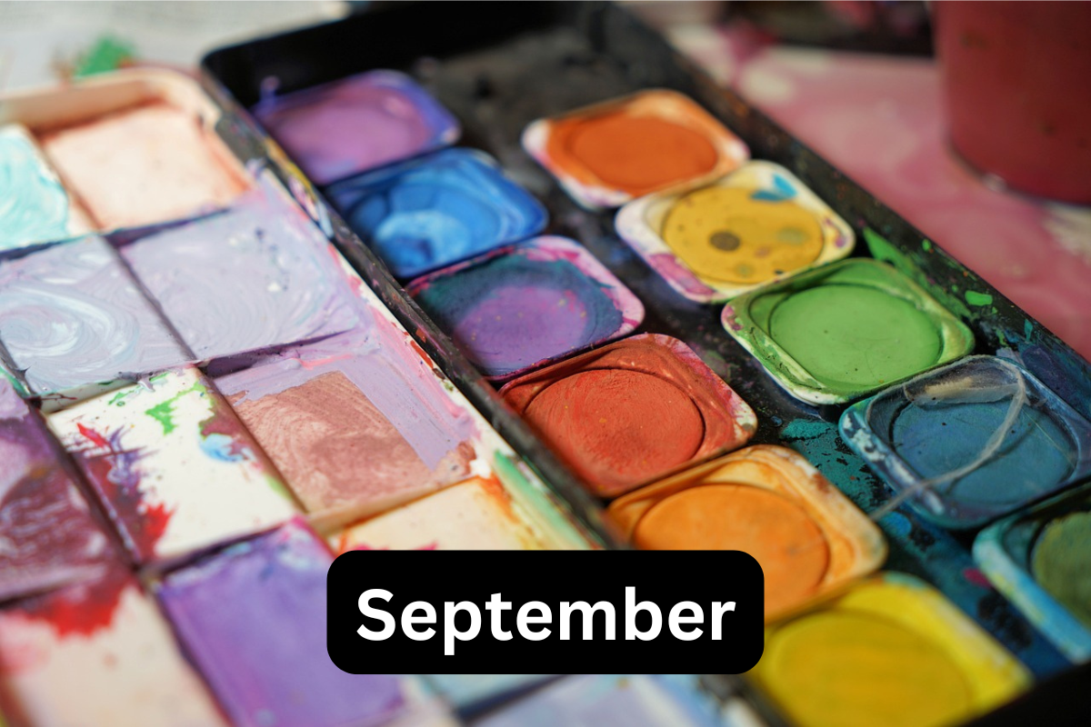 A watercolour paint palette.