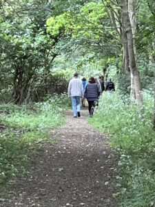 People walking through a wood.