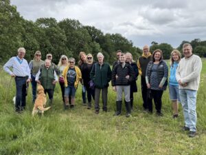 Walkers and dogs.